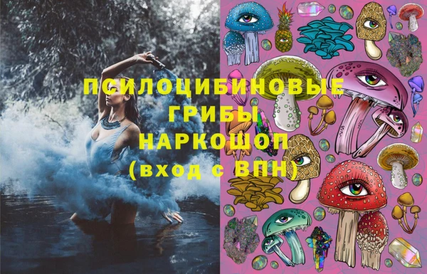 a pvp Кулебаки