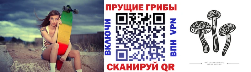 Купить где  Новоалтайск  Галлюциногенные грибы ЛСД 